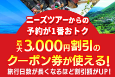 格安国内旅行・国内ツアーのニーズツアー (2)